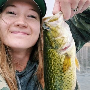 Meet your Posher, Jessalyn